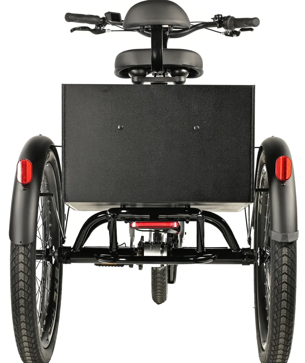 Elektrisk sykkel med 3 hjul  - 24