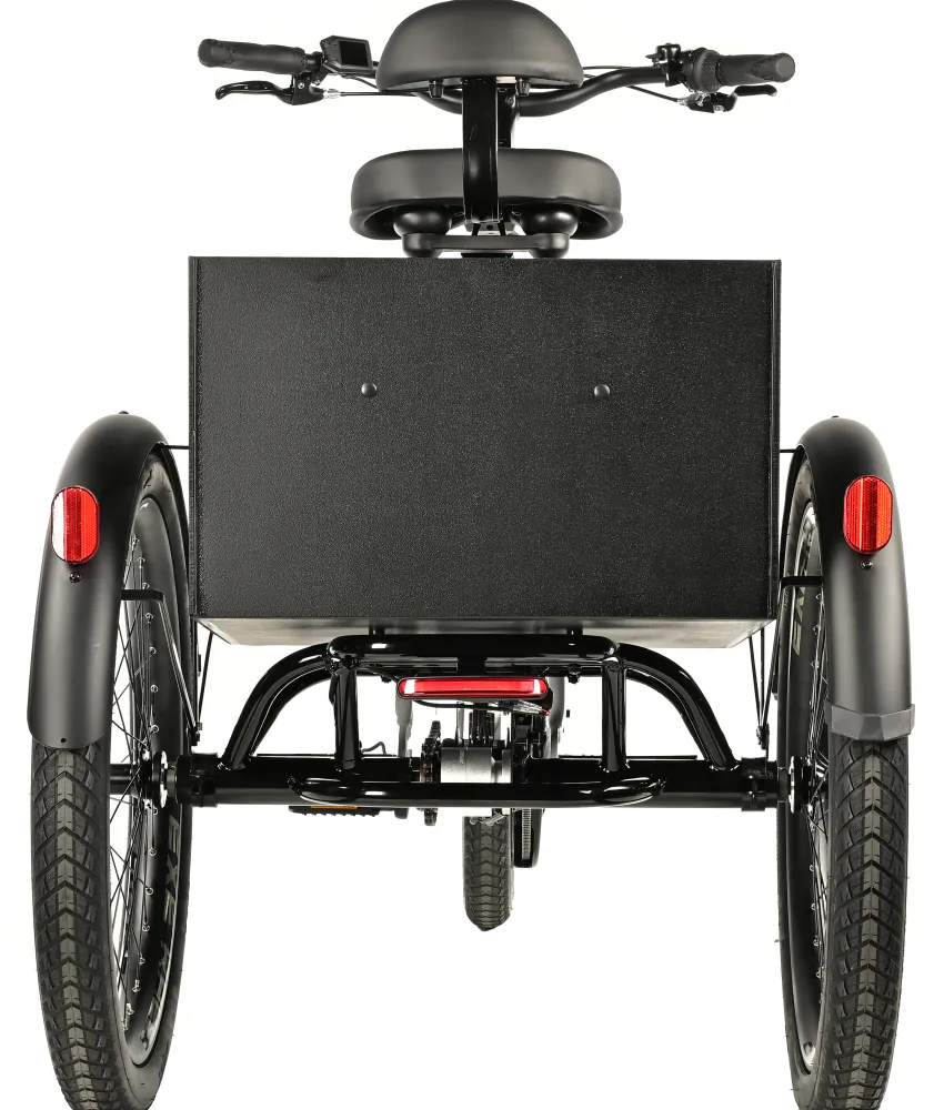 Elektrisk sykkel med 3 hjul  - 24