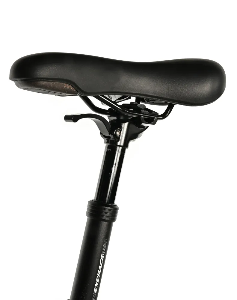 Leader Fox TRION 29