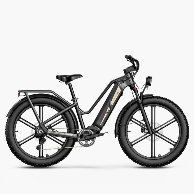 Hovedbilde Titan Touring elektrisk Fatbike - Opptil 347 km 