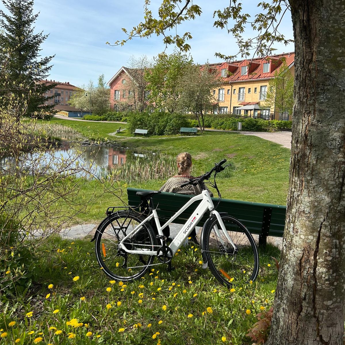 Norway Universe Elsykkel, hvit (360 Wh batteri)