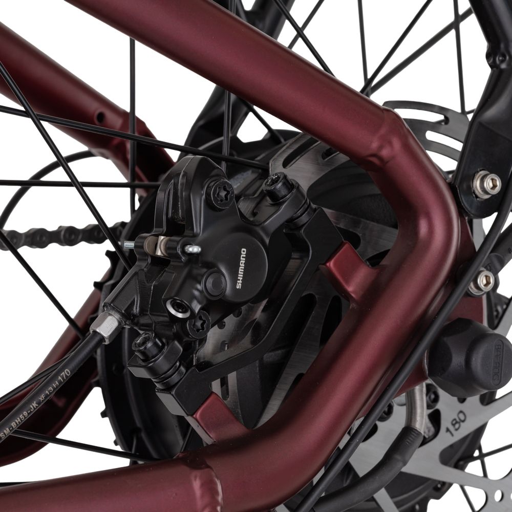 El-sykkel Eclion 28” – 648Wh Ramme 16